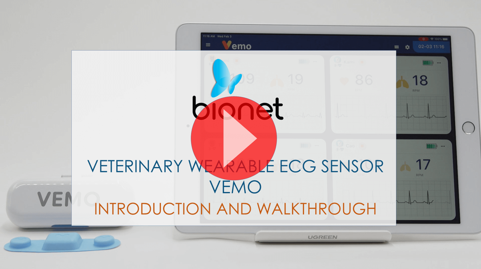 VEMO: The First Wireless and Wearable ECG Sensor for Veterinary Clinics -  Bionet America