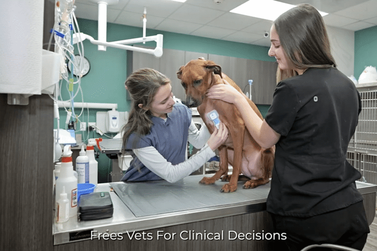 Why Wireless Veterinary Monitoring Will Change the Way You Track Patient Vitals