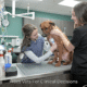 Why Wireless Veterinary Monitoring Will Change the Way You Track Patient Vitals