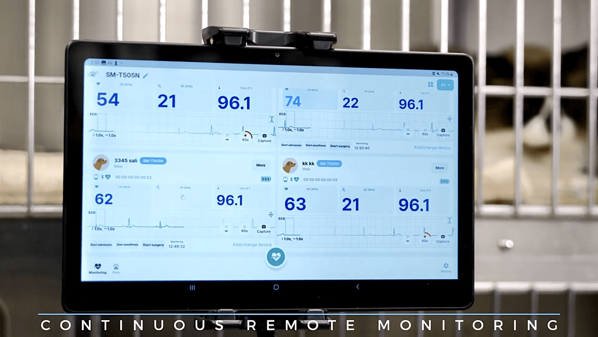Why Wireless Veterinary Monitoring Will Change the Way You Track Patient Vitals