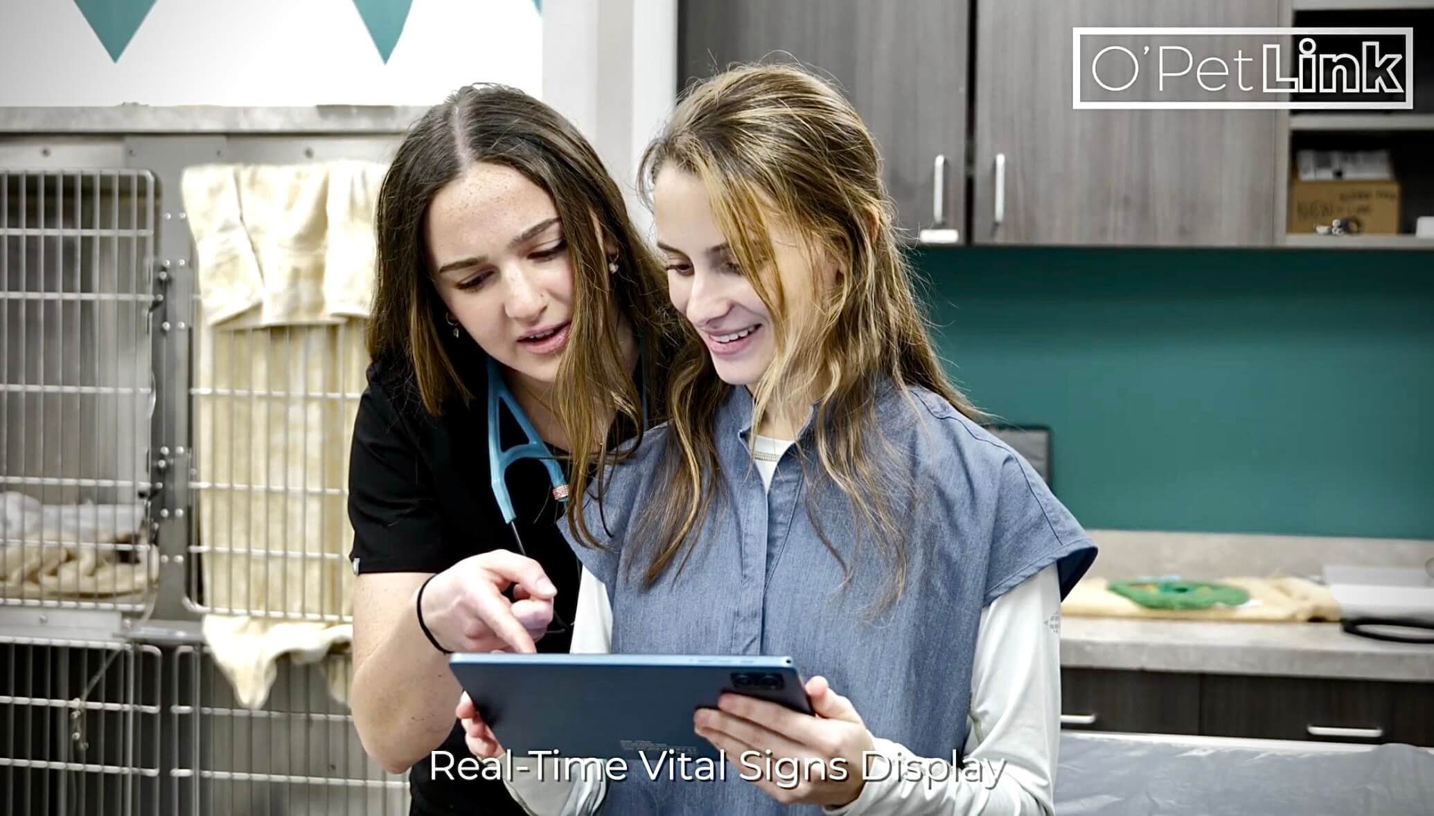 Why Wireless Veterinary Monitoring Will Change the Way You Track Patient Vitals