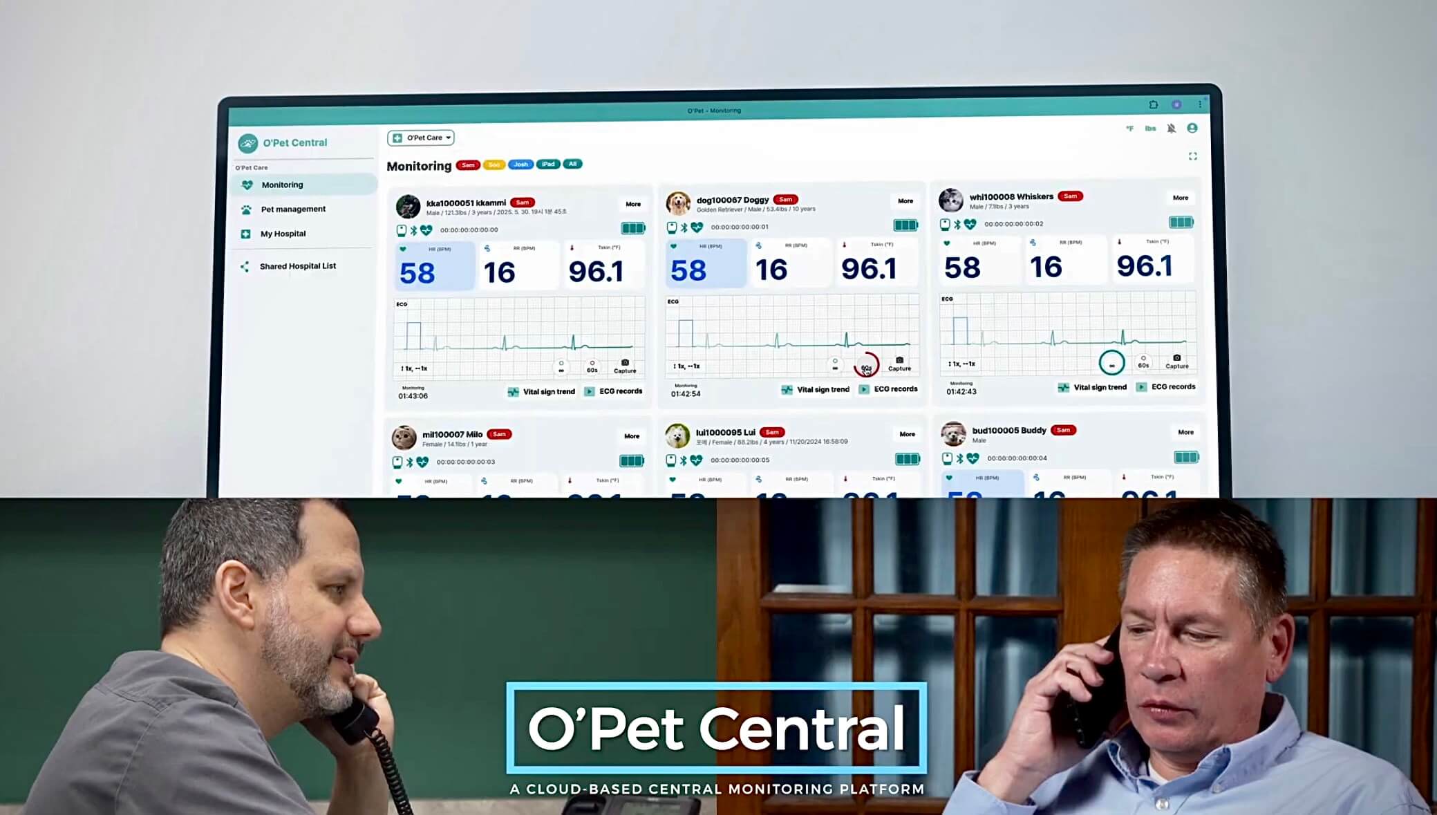 Why Wireless Veterinary Monitoring Will Change the Way You Track Patient Vitals