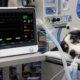 Why 'Just' EtCO2 Isn't Enough