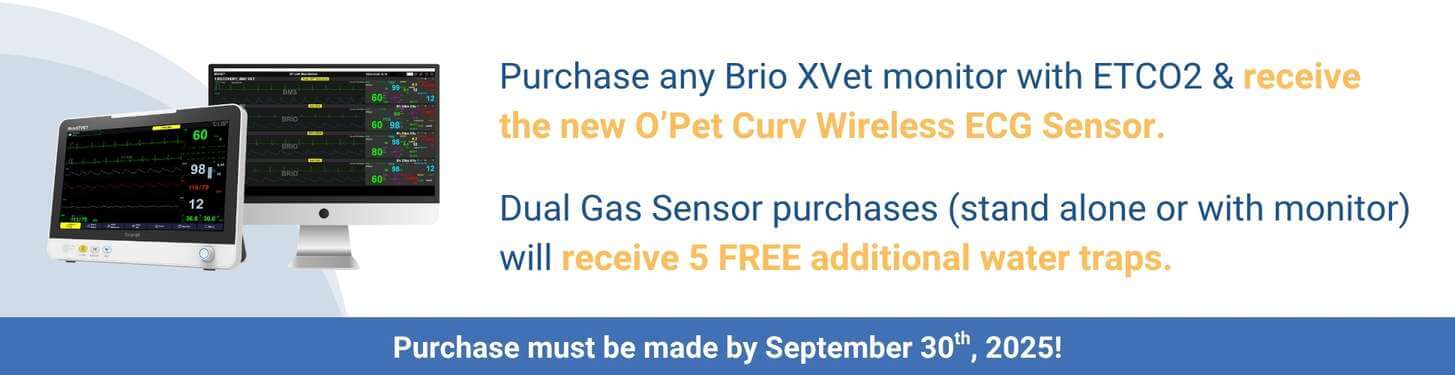 Brio Monitor Promotion long banner