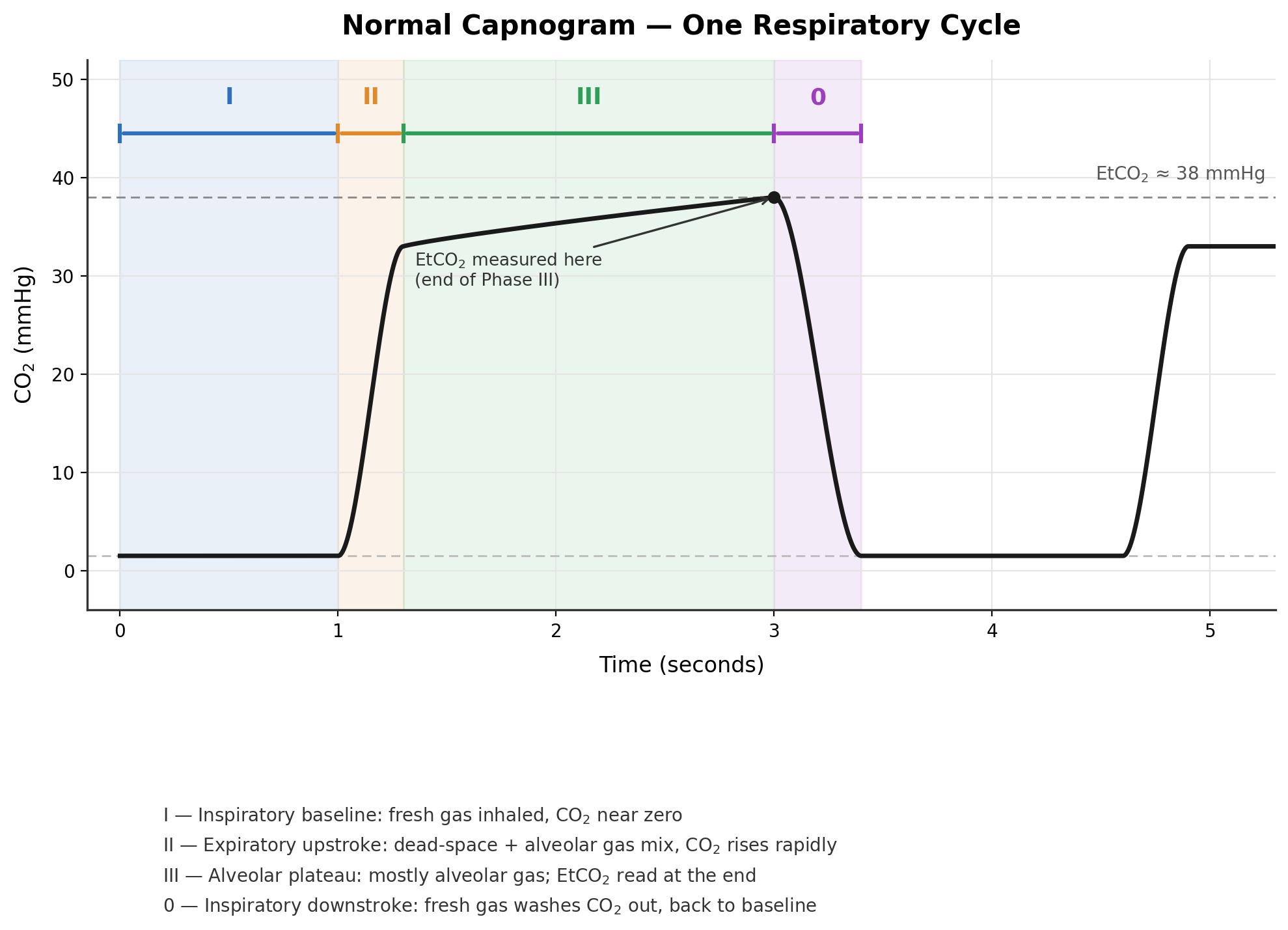 capnogram_overview