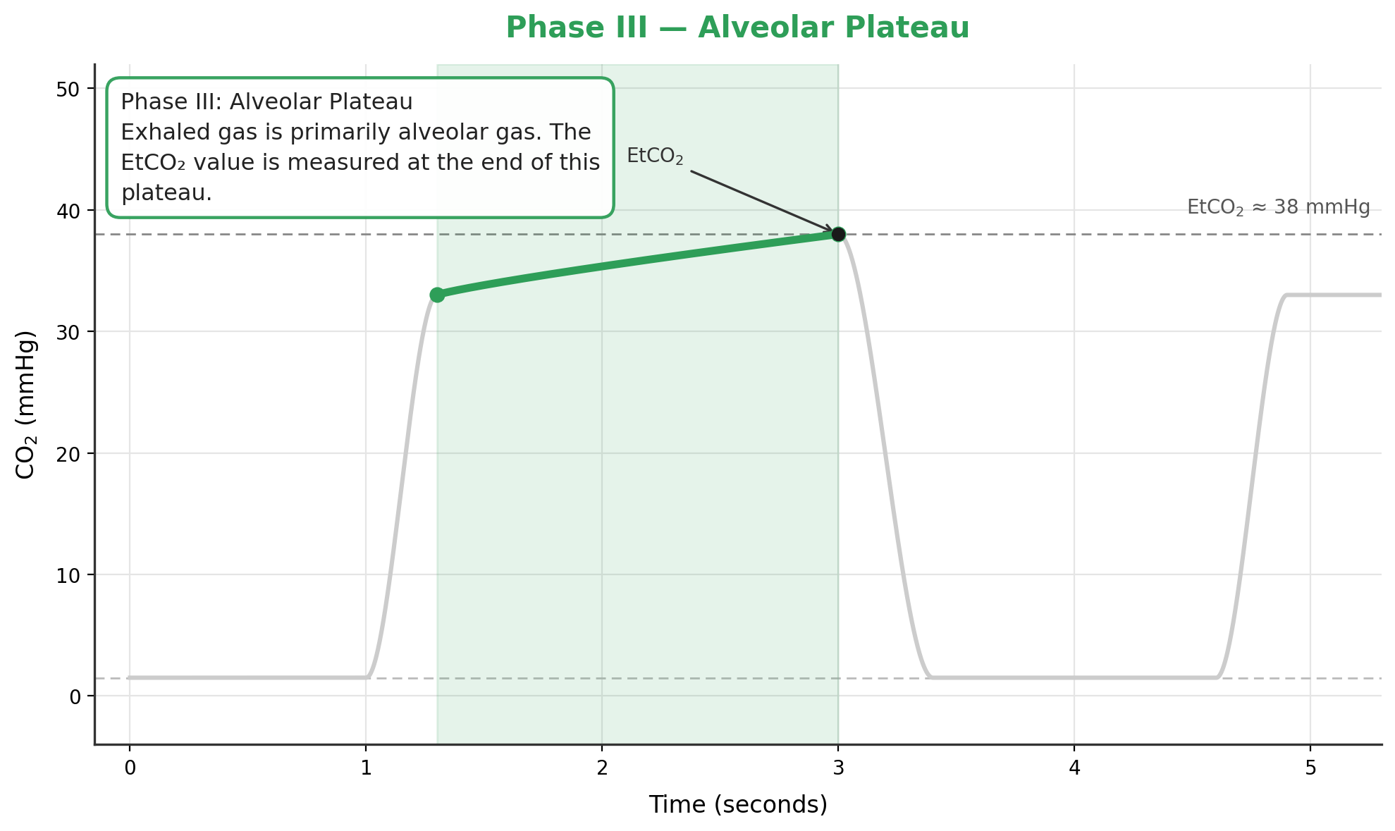 phase3_alveolar_plateau