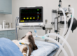 Dog patient under anesthesia