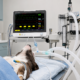 Dog patient under anesthesia