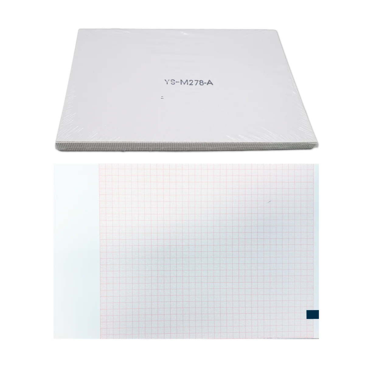 ECG PP A4